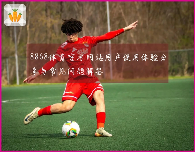 8868体育官方网站用户使用体验分享与常见问题解答